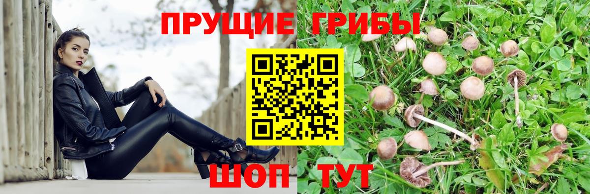 Галлюциногенные грибы мухоморы Нефтеюганск